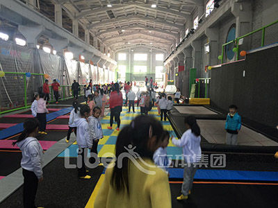 健身蹦蹦床项目加盟，立本集团品牌加盟